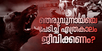 ശരാശരി മലയാളി ഇന്ന് ഏറ്റവും ഭയപ്പെടുന്നത് ആരെ എന്ന ചോദ്യത്തിൻ്റെ  ഉത്തരം തെരുവുനായ്ക്കൾ എന്നതാണ്.